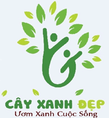 Công Ty TNHH Một Thành Viên Cây Xanh Đẹp