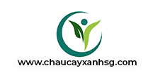 Chậu Cây Xanh Sài Gòn - Công Ty TNHH Chậu Cây Xanh Sài Gòn
