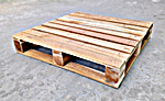 Pallet Gỗ Tùng Lâm Anh - Công Ty TNHH Tùng Lâm Anh