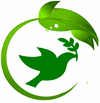 Thiết Kế Thi Công Sân Vườn