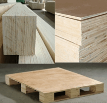 Pallet Gỗ Thành Nam - Công Ty THHH Chế Biến Lâm Sản Thành Nam